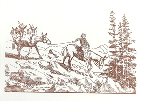 MULES NOTE CARDS
